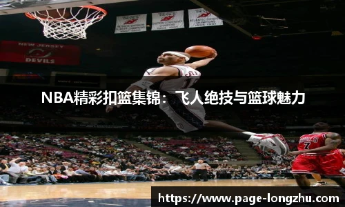 龙珠体育直播