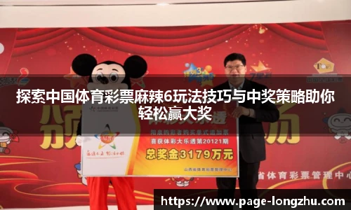 龙珠体育直播