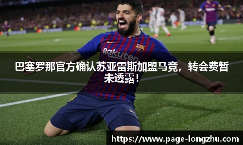 龙珠体育