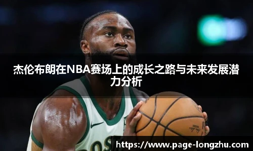 龙珠体育