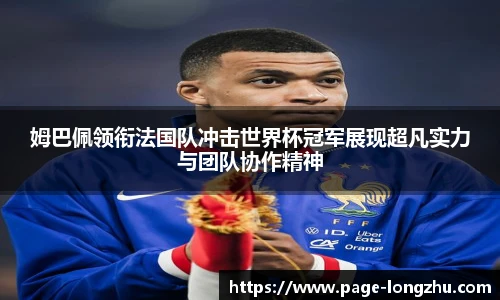 龙珠体育