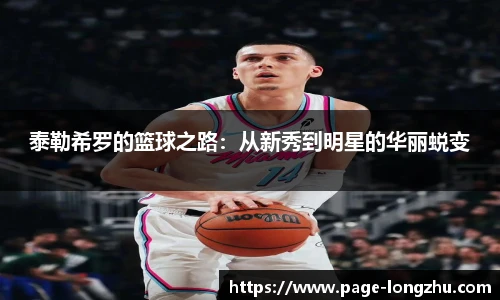 龙珠高清直播