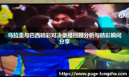 龙珠体育直播